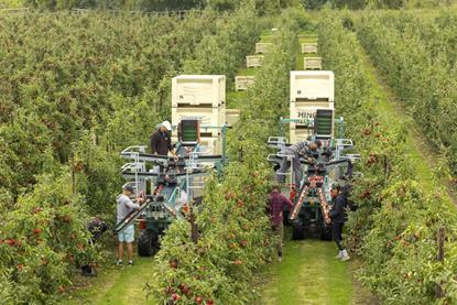 FSP apple harvest BAPL