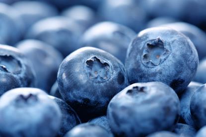Blueberries closeup Adobe Stock