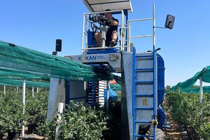RS BSK blueberry harvester