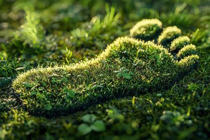 Grüner Füßabdruck auf einer Wiese