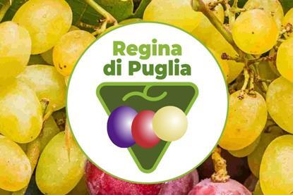 Regina di Puglia