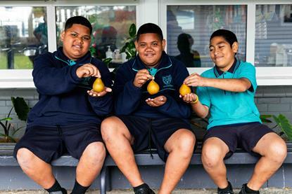 Fruit in Schools boys with pears  5+ A Day Charitable Trust