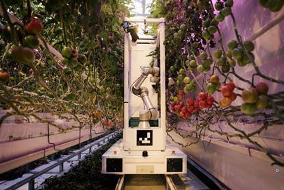Eternal.ag Harvester robot tomatoes