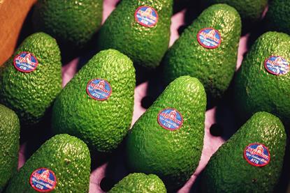 Mission avocados sticker retail