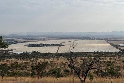 Nyami Berries Ozblu production South Africa