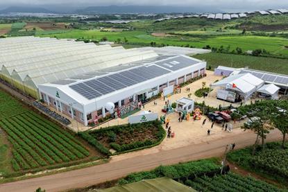 Rijk Zwaan Vietnam facility