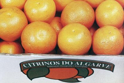 Citrinos do Algarve