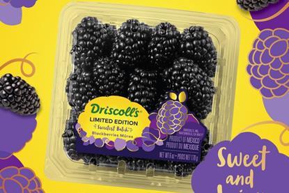 Driscolls Sweetest Batch Blackberries