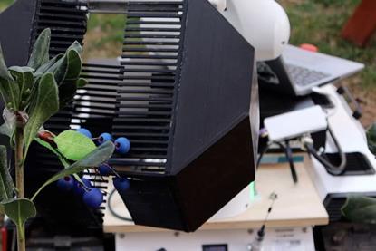 Chile robotic fruit harvester