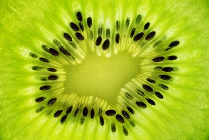 Foto: elovich - AdobeStock