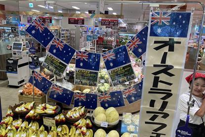 Queensland banana and melon export to Japan