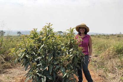 Aliya Hajee wants to see government support for Ugandan Hass growers