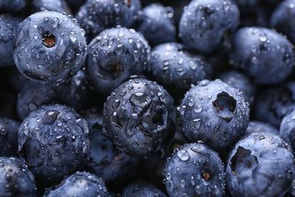 Blueberries Adobe stock