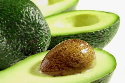 avocado-seen0001 - AdobeStock