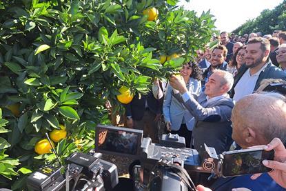 PGI Valencian Citrus