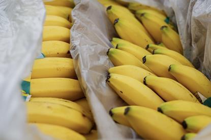 Imported bananas boxed Adobe Stock