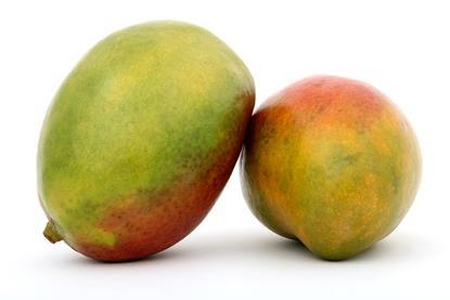 GEN mangoes