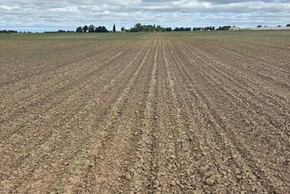 Drought in AH Worth field