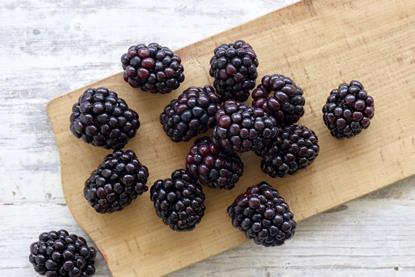 Blackberry sales are up