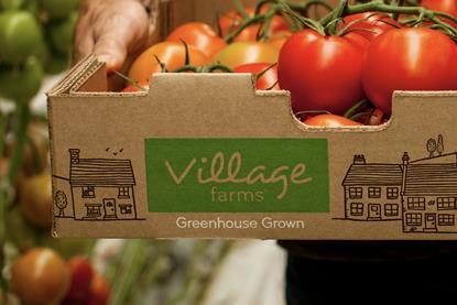 Village Farms tomatoes