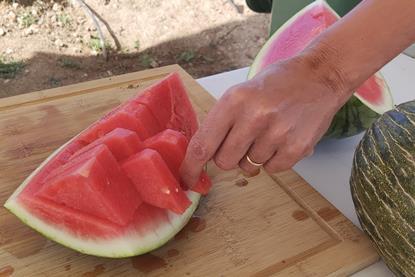 Spanish watermelon