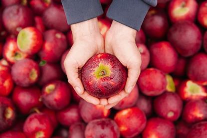 bravoapples-hero1a-hr