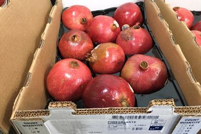 A wholesaler's quality claim photo - fruit labeled X-fancy showing scratches and blemishes no better than lower grades