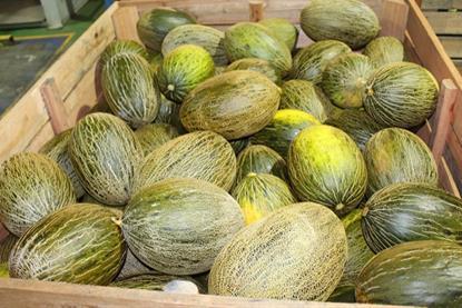 Melonen Castilla La Mancha