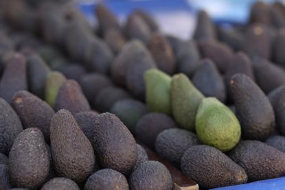 Ripe Hass avocados Adobe Stock