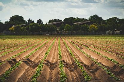 Life is far from straightforward for UK potato suppliers right now