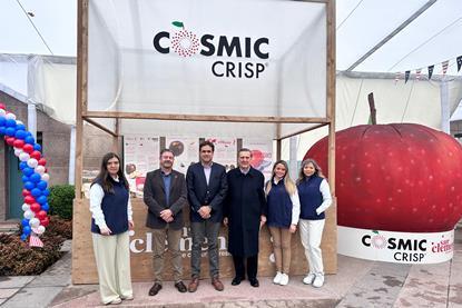 Cosmic Crisp event