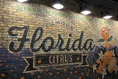 Florida citrus Disney dreamstime_xxl_287530592Ritu Jethani