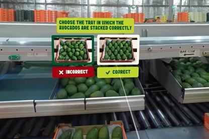 Avocados Australia VR supply chain training programme