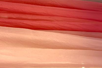 Westfalia dyes