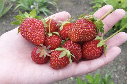 Screenshot 2025-11-17 at 11.53.22