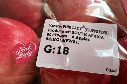 ZA Pink Lady apples
