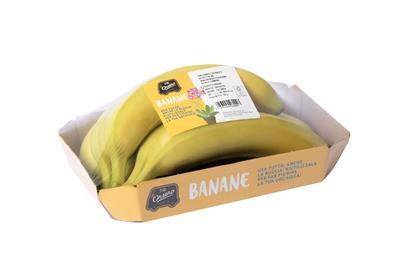 IT Flli Orsero bananas waste