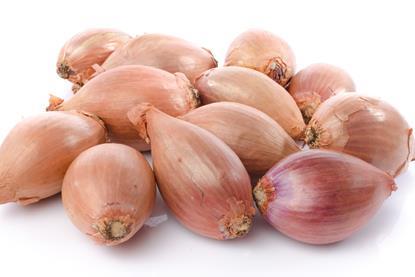 French shallots