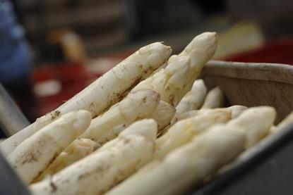 Weißer Spargel