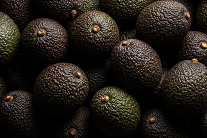 Hass avocados Adobe Stock