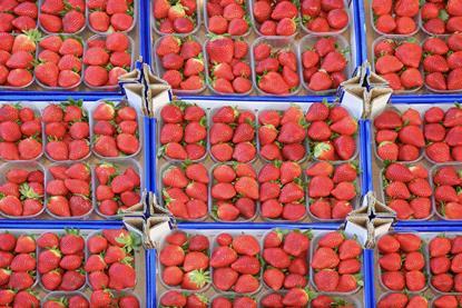 Generic strawberry trays display Adobe Stock