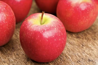 Pink Lady apples closeup Adobe Stock