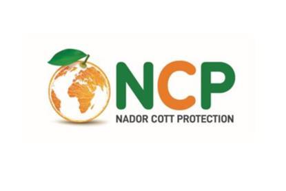 logo ncp