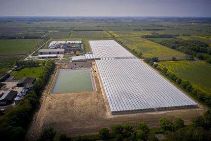 Dyson Farming's strawberry production Carrington site