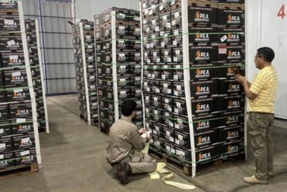 Argentine oranges to Ecuador