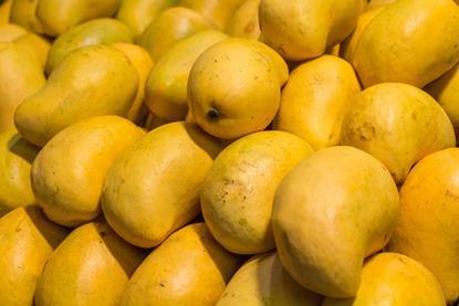 Ataulfo mangoes Adobe Stock