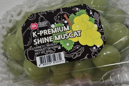 Shine Muscat Cop Sweden K-Premium