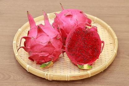 Dragon fruit Ministry of Foreign Affairs Taiwan