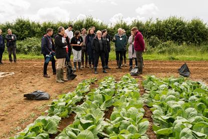 With renewed commitment from ministers, the organic sector is generally optimistic about the plan