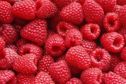 Himbeeren